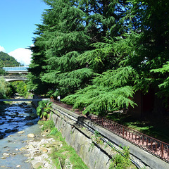 Отель Alean Family Resort & SPA Sputnik 4*, Сочи, Краснодарский край