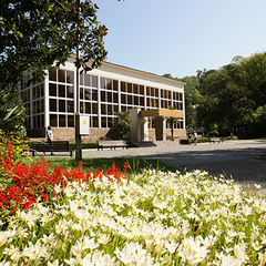 Отель Alean Family Resort & SPA Sputnik 4*, Сочи, Краснодарский край