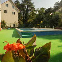 Отель Парадиз, Ольгинка, Краснодарский край