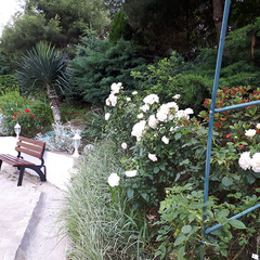 Отель Парадиз, Ольгинка, Краснодарский край