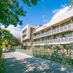 Вилла Олива-Арт, Крым