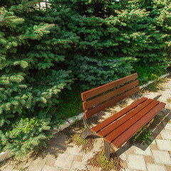 Отель Парадиз, Ольгинка, Краснодарский край