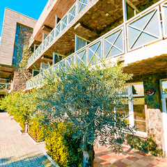 Вилла Олива-Арт, Крым