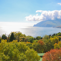 Вилла Олива-Арт, Крым