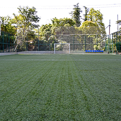 Отель Alean Family Resort & SPA Sputnik 4*, Сочи, Краснодарский край