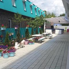 Гостиница Бирюза, Лермонтово, Краснодарский край