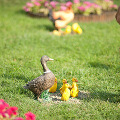 Отель Alean Family Resort & SPA Biarittz, Геленджик, Краснодарский край