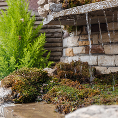 Гостевой дом Березка, Джемете, Краснодарский край