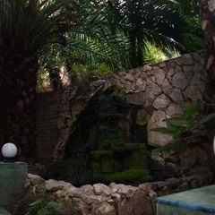 Гостевой дом Бриз, Сочи, Краснодарский край