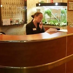 Гостиница На Саперном, Санкт-Петербург, Ленинградская область