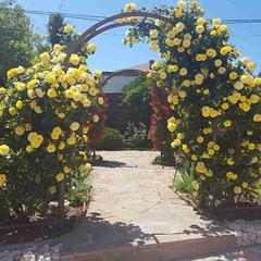 Отель Вилла Венеция, Севастополь, Крым