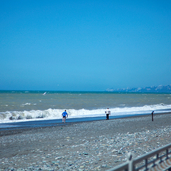 Гостиница Берег, Сочи, Краснодарский край