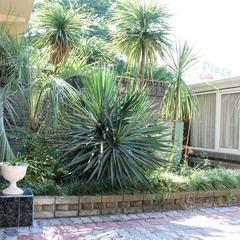 Гостиница Виктория, Сочи, Краснодарский край