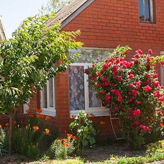 Пансионат Лада, Краснодарский край