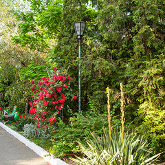 Пансионат Лада, Краснодарский край