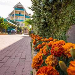 Отель Пальма, Сочи, Краснодарский край