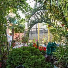 Отель Пальма, Сочи, Краснодарский край