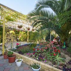 Отель Пальма, Сочи, Краснодарский край