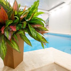 Отель Престиж, Сочи, Краснодарский край