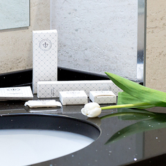 Парк-отель Tulip Sofrino Park Hotel, Московская область