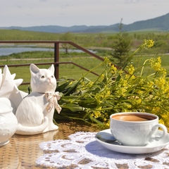 Парк-отель Алтай Green, Алтайский край