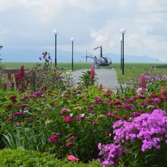 Парк-отель Алтай Green, Алтайский край