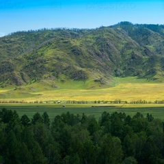 Парк-отель Алтай Green, Алтайский край