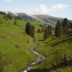 Парк-отель Алтай Green, Алтайский край