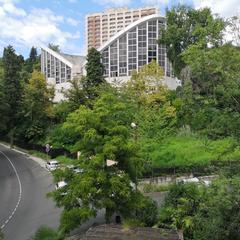 Отель Грин Клаб, Сочи, Краснодарский край