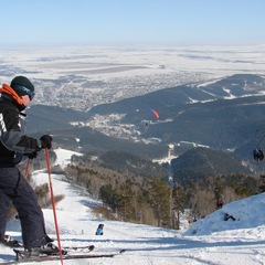 Парк-отель Алтай Green, Алтайский край