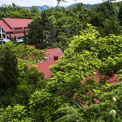 Пансионат Сокол , Вардане, Краснодарский край