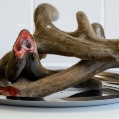 Парк-отель Алтай Green, Алтайский край