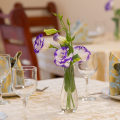 Гостевой дом Санрайз, Сочи, Краснодарский край