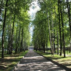 Санаторий Елочки, Домодедово, Московская область