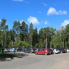 Санаторий Елочки, Домодедово, Московская область