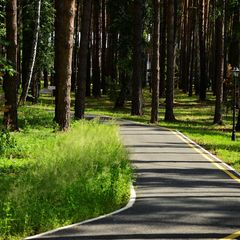 Санаторий Красная гвоздика, Тюмень, Тюменская область