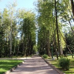Санаторий Елочки, Домодедово, Московская область