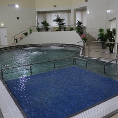 Санаторий Елочки, Домодедово, Московская область