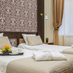 Отель Граф Толстой, Санкт-Петербург, Ленинградская область