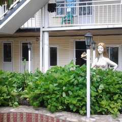 Гостиница Черномор, Новомихайловский, Краснодарский край