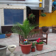 Гостиница Черномор, Новомихайловский, Краснодарский край