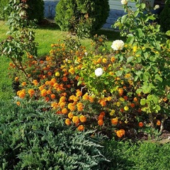Гостиничный комплекс Джами, Махачкала, Республика Дагестан