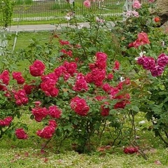 Гостиничный комплекс Джами, Махачкала, Республика Дагестан