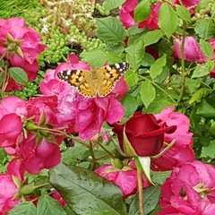 Гостиничный комплекс Джами, Махачкала, Республика Дагестан