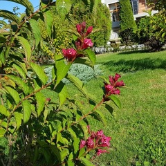 Гостиничный комплекс Джами, Махачкала, Республика Дагестан