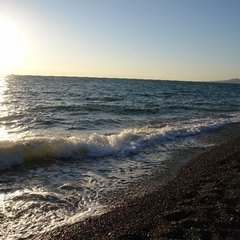 Отель Афродита, Сочи, Краснодарский край