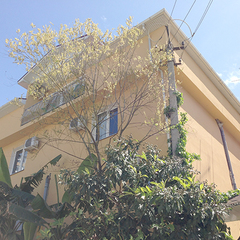 Гостевой дом Джина, Сочи, Краснодарский край