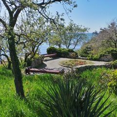 Санаторий Факел, Дивноморское, Краснодарский край