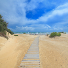 Отель Мандарин, Анапа, Краснодарский край