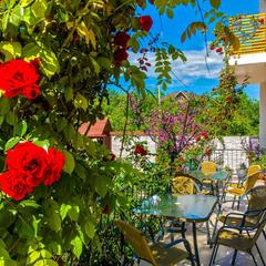 Отель Дольче Вита, Геленджик, Краснодарский край